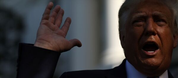U.S. President Donald Trump speaks to the news media before departing on Marine One for travel to Midland, Texas from the South Lawn of the White House in Washington, U.S., July 29, 2020 - Sputnik International