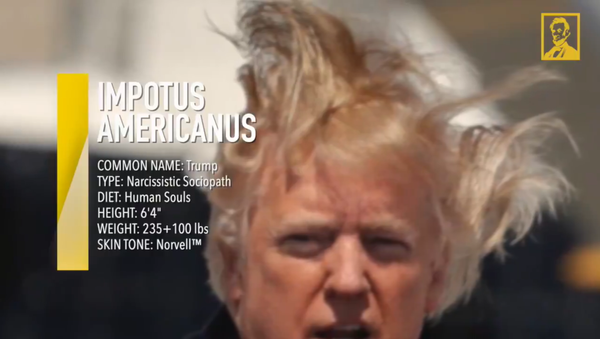 A screenshot from a video by the Lincoln Project, mocking US President Donald Trump - Sputnik International