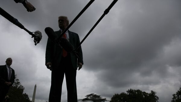 U.S. President Donald Trump talks to reporters while departing for a trip to Florida from the South Lawn of the White House in Washington, U.S., July 31, 2020.  - Sputnik International