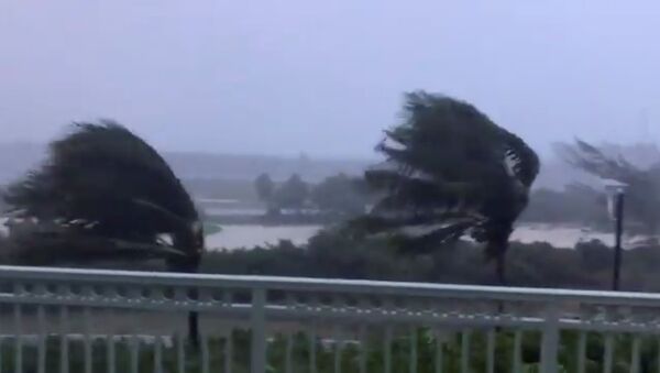 Trees are buffeted by strong winds as Hurricane Isaias hits the Bahamas July 31, 2020 in this still image taken from social media video, filmed from the Grand Isle Resort and Spa at Emerald Bay, Great Exuma. Twitter @ByJeffTodd via REUTERS THIS IMAGE HAS BEEN SUPPLIED BY A THIRD PARTY. MANDATORY CREDIT. NO RESALES. NO ARCHIVES - Sputnik International