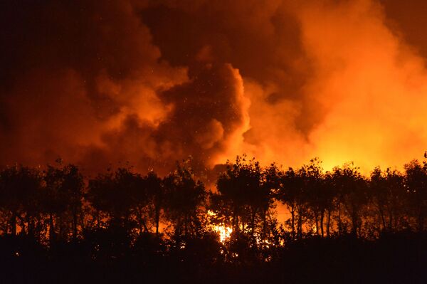 Top-5 Deadliest Ammonium Nitrate-Related Accidents as Monstrous Explosion Rips Through Beirut Top-5 Deadliest Ammonium Nitrate-Related Accidents as Monstrous Explosion Rips Through Beirut - Sputnik International