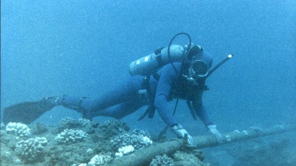 Diver Checking Underwater Protection of Cable - Sputnik International