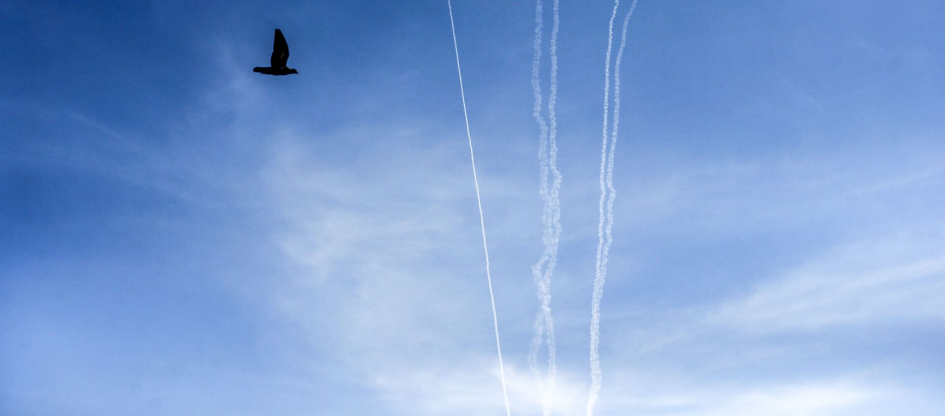 This picture taken on August 10, 2020 from Gaza City shows a bird flying while behind are seen smoke trails from test rockets fired by the Palestinian Islamist Hamas movement which currently controls the Gaza Strip, as part of military drills. - Sputnik International, 1920, 28.08.2020
