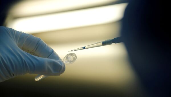 A scientist prepares samples during the research and development of a vaccine against the coronavirus disease (COVID-19) - Sputnik International