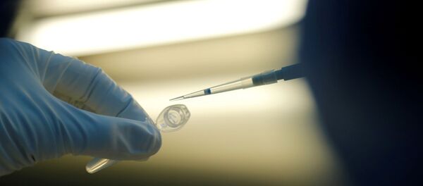 A scientist prepares samples during the research and development of a vaccine against the coronavirus disease (COVID-19) A scientist prepares samples during the research and development of a vaccine against the coronavirus disease (COVID-19) - Sputnik International