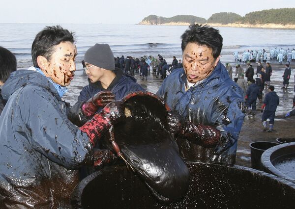 Local residents use baskets to remove dense crude oil at Mallipo beach, South Korea on 9 December 2007 following a devastating oil spill. - Sputnik International