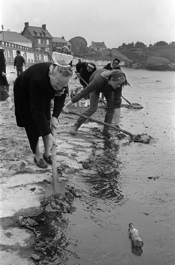 Soldiers and volunteers clean up an oil slick on 14 April 1967 on the beach at Tregastel. - Sputnik International