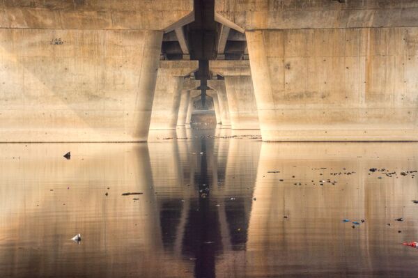 World Photography Day: Visiting Yamuna River to Capture Its Pristine Glory in Delhi World Photography Day: Visiting Yamuna River to Capture Its Pristine Glory in Delhi - Sputnik International