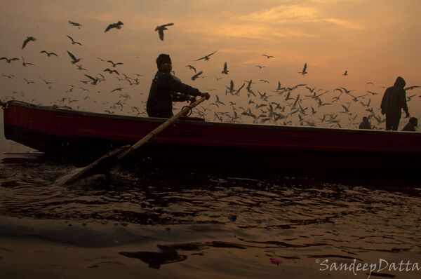 World Photography Day: Visiting Yamuna River to Capture Its Pristine Glory in Delhi World Photography Day: Visiting Yamuna River to Capture Its Pristine Glory in Delhi - Sputnik International
