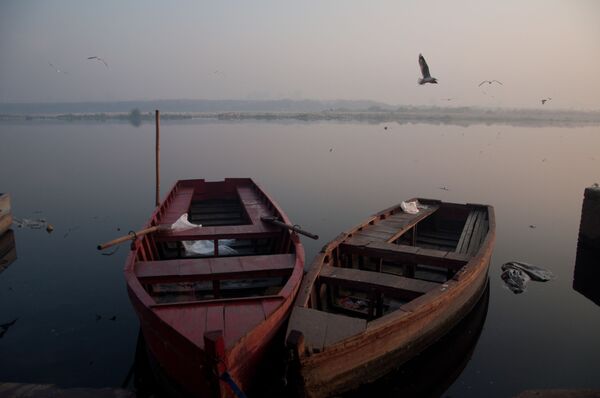 World Photography Day: Visiting Yamuna River to Capture Its Pristine Glory in Delhi World Photography Day: Visiting Yamuna River to Capture Its Pristine Glory in Delhi - Sputnik International