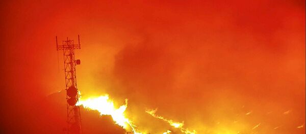 Flames from the Hennessey Fire rage in the last image from a tower-mounted camera before it and another went offline, after they melted in the heat according to AlertWildfire, on Atlas Peak northwest of Vacaville, California, U.S. August 18, 2020. Picture taken August 18, 2020. www.alertwildfire.org/Handout via REUTERS. NO RESALES. NO ARCHIVES. THIS IMAGE HAS BEEN SUPPLIED BY A THIRD PARTY. Flames from the Hennessey Fire rage in the last image from a tower-mounted camera before it and another went offline, after they melted in the heat according to AlertWildfire, on Atlas Peak northwest of Vacaville, California, U.S. August 18, 2020. Picture taken August 18, 2020. www.alertwildfire.org/Handout via REUTERS. NO RESALES. NO ARCHIVES. THIS IMAGE HAS BEEN SUPPLIED BY A THIRD PARTY. - Sputnik International