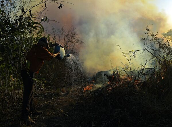 A farmer tries to pour water on an area close to an illegally lit fire in an Amazon rainforest reserve, south of Novo Progresso in Para state, Brazil, on 15 August 2020.  - Sputnik International