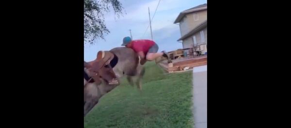 The best horse ride that I had seen The best horse ride that I had seen - Sputnik International