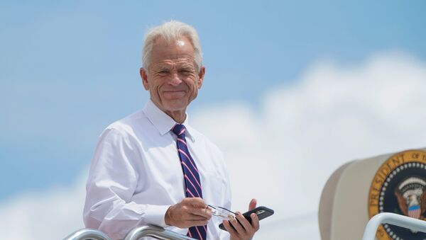 White House economic advisor Peter Navarro looks down from the steps of Air Force One as he waits to depart with U.S. President Donald Trump for travel to Ohio and New Jersey at Joint Base Andrews, Maryland, U.S., August 6, 2020. - Sputnik International