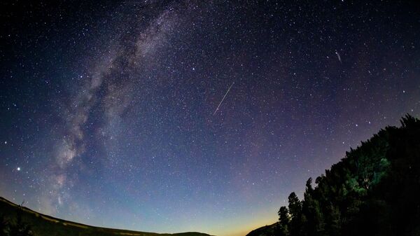 Starlit sky during the Perseid meteor shower observed in Russia's Krasnodar region.  - Sputnik International