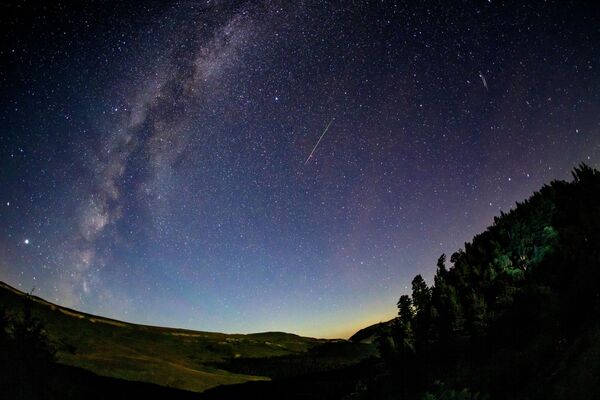 Starlit sky during the Perseid meteor shower observed in Russia's Krasnodar region.  - Sputnik International