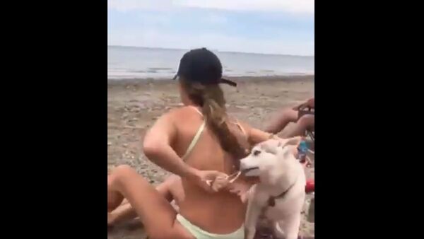 ...Let's Enjoy the Last Days Of Summer - Sputnik International