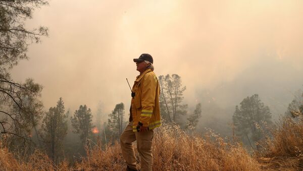 A firefighter monitors the LNU Lightning Complex Fire as it engulfs trees and brush in Lake County, California, U.S. August 23, 2020. - Sputnik International