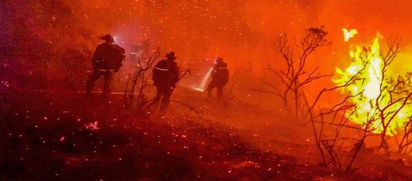 Firefighters work to extinguish a fire in Alpine, California, U.S., September 6, 2020, in this picture obtained from social media. Picture taken September 6, 2020. Firefighters work to extinguish a fire in Alpine, California, U.S., September 6, 2020, in this picture obtained from social media. Picture taken September 6, 2020. - Sputnik International