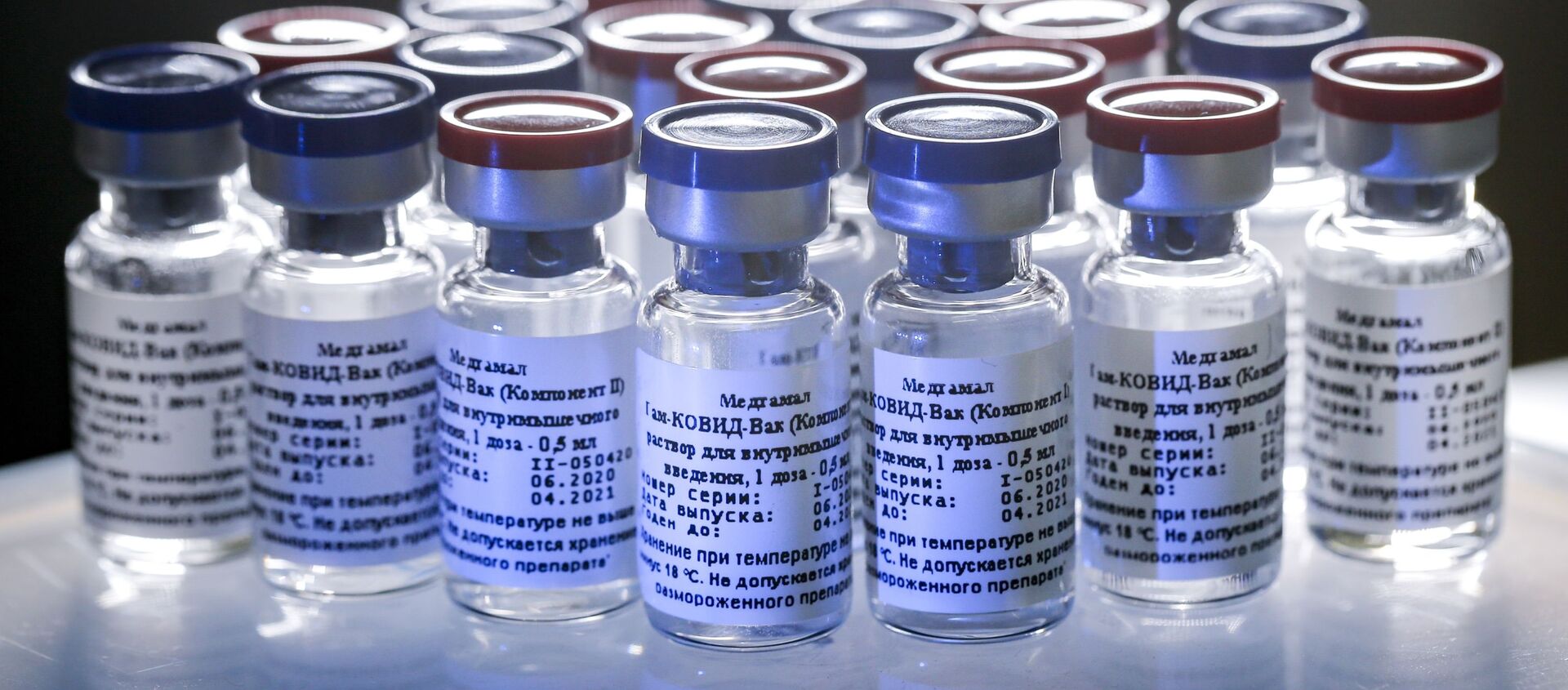 In this handout photo taken on Thursday, Aug. 6, 2020, and provided by Russian Direct Investment Fund, a new vaccine is on display at the Nikolai Gamaleya National Center of Epidemiology and Microbiology in Moscow, Russia - Sputnik International, 1920