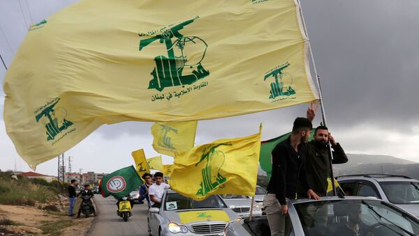 FILE PHOTO: A supporter of Lebanon's Hezbollah gestures as he holds a Hezbollah flag in Marjayoun - Sputnik International