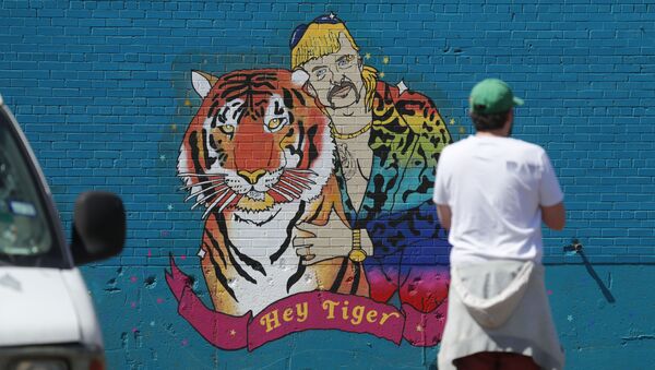 A man looks at a mural depicting Joseph Maldonado-Passage, also known as Joe Exotic, in Dallas, Friday, April 10, 2020. The Netflix series Tiger King, has become popular watching during the COVID-19 outbreak. Maldonado-Passage was convicted in an unsuccessful murder-for-hire plot. - Sputnik International