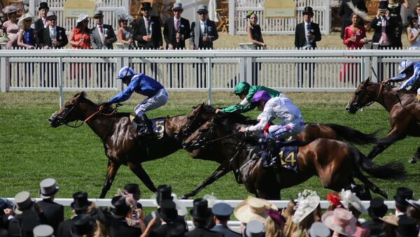 Horses race during the Commonwealth Cup on day four of the Royal Ascot horse racing meet, in Ascot, west of London, on June 22, 2018.  - Sputnik International