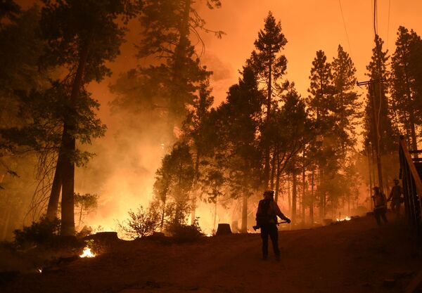 Firefighters try to extinguish forest fires at Shaver Lake, Sierra National Forest, California - Sputnik International