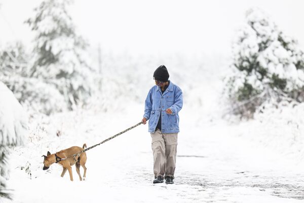 Elena Porrata walks her dog Tico at Chautauqua Park during an early season snowstorm on September 9, 2020, in Boulder, Colorado - Sputnik International
