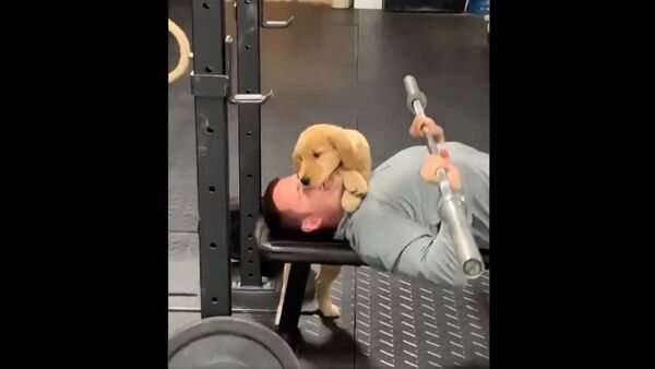 I bet his name is Spot - Sputnik International