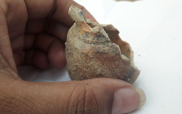 Pottery, Bones Believed to be from Harappan Civilisation Found in India - Sputnik International