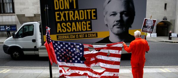 A supporter of WikiLeaks founder Julian Assange protests outside the Old Bailey, the Central Criminal Court ahead of a hearing to decide whether Assange should be extradited to the United States, in London, Britain September 9, 2020 A supporter of WikiLeaks founder Julian Assange protests outside the Old Bailey, the Central Criminal Court ahead of a hearing to decide whether Assange should be extradited to the United States, in London, Britain September 9, 2020 - Sputnik International