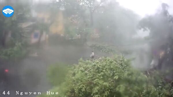 A motorcyclist walks away from a fallen tree during tropical storm Noul in Hue, Vietnam September 18, 2020, in this still image from a social media video - Sputnik International