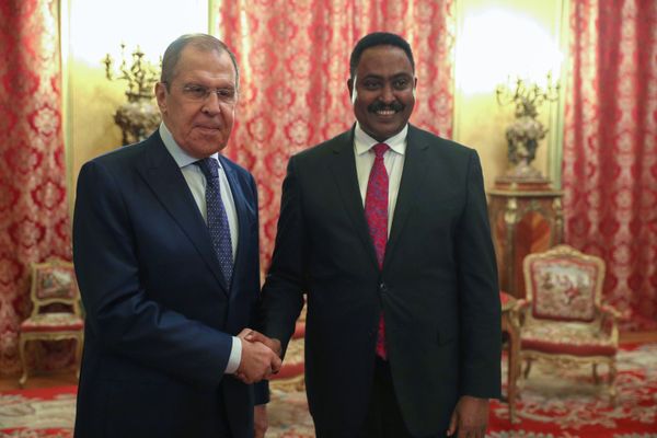 African Countries Hoping to Receive Russia's Sputnik V Vaccine Against COVID-19, IGAD Says African Countries Hoping to Receive Russia's Sputnik V Vaccine Against COVID-19, IGAD Says - Sputnik International
