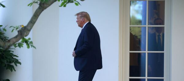 U.S. President Donald Trump departs for campaign travel to Pennsylvania from the South Lawn at the White House in Washington, U.S., September 22, 2020. U.S. President Donald Trump departs for campaign travel to Pennsylvania from the South Lawn at the White House in Washington, U.S., September 22, 2020. - Sputnik International