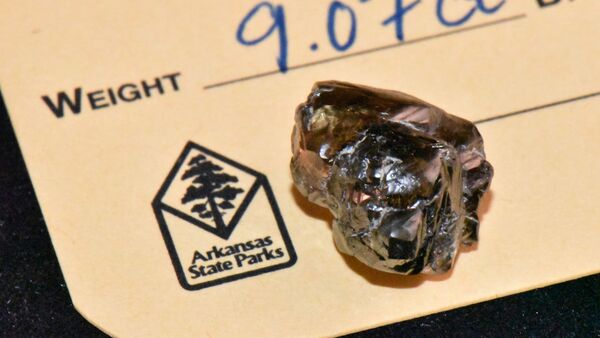 Image provided by the Arkansas State Parks offers closeup view of the Kinard Friendship Diamond, along with an official state park tag indicating its official weight and documentation by park officials. - Sputnik International