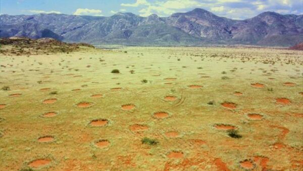 Fairy circles in Namibia's Marienfluss valley - Sputnik International