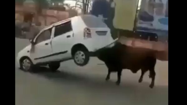 OMG! Watch This Raging Bull Wrecking Car, Throwing It Away With Ease - Sputnik International
