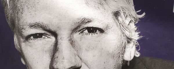 Assange with US flag covering his mouth outside Old Bailey on 29 September 2020 Assange with US flag covering his mouth outside Old Bailey on 29 September 2020 - Sputnik International