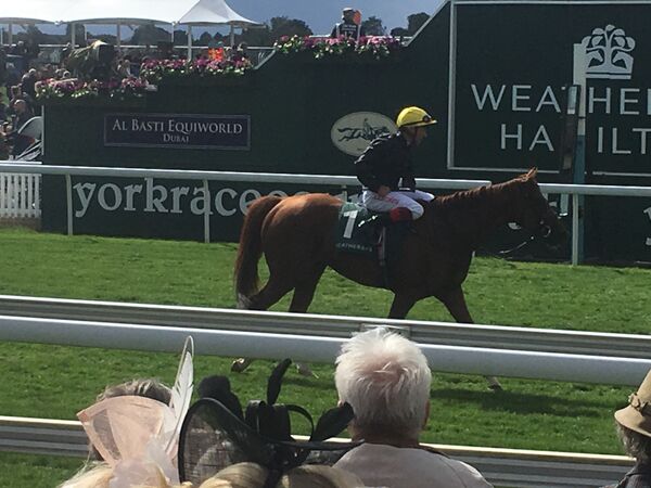 Sputnik Intelligent Punter’s Guide To 2020 Prix De L’arc De Triomphe, Europe’s Richest Horse Race Sputnik Intelligent Punter’s Guide To 2020 Prix De L’arc De Triomphe, Europe’s Richest Horse Race - Sputnik International