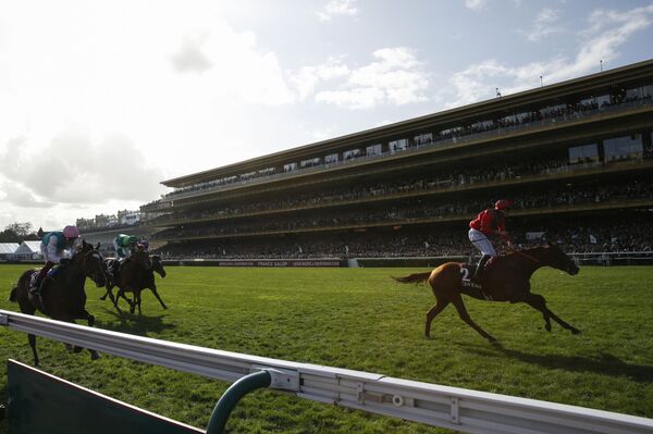 The Sputnik Intelligent Punter's Guide To Champions Day & Football Predictions The Sputnik Intelligent Punter's Guide To Champions Day & Football Predictions - Sputnik International