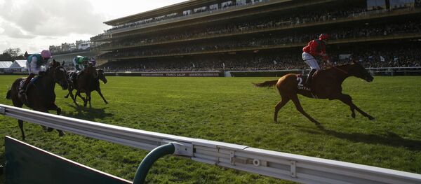French jockey Pierre-Charles Boudot riding horse Waldgeist (R) celebrates on the finish line followed by Italian jockey Frankie Dettori (L) riding horse Enable and Italian Cristian Demuro during the 2019 Prix de l'Arc de Triomphe flat race at the ParisLongchamp race track in Paris, on October 6, 2019 French jockey Pierre-Charles Boudot riding horse Waldgeist (R) celebrates on the finish line followed by Italian jockey Frankie Dettori (L) riding horse Enable and Italian Cristian Demuro during the 2019 Prix de l'Arc de Triomphe flat race at the ParisLongchamp race track in Paris, on October 6, 2019 - Sputnik International