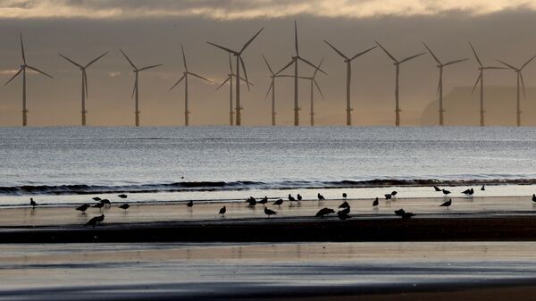 A wind farm off the coast of Hartlepool in north-east England - Sputnik International