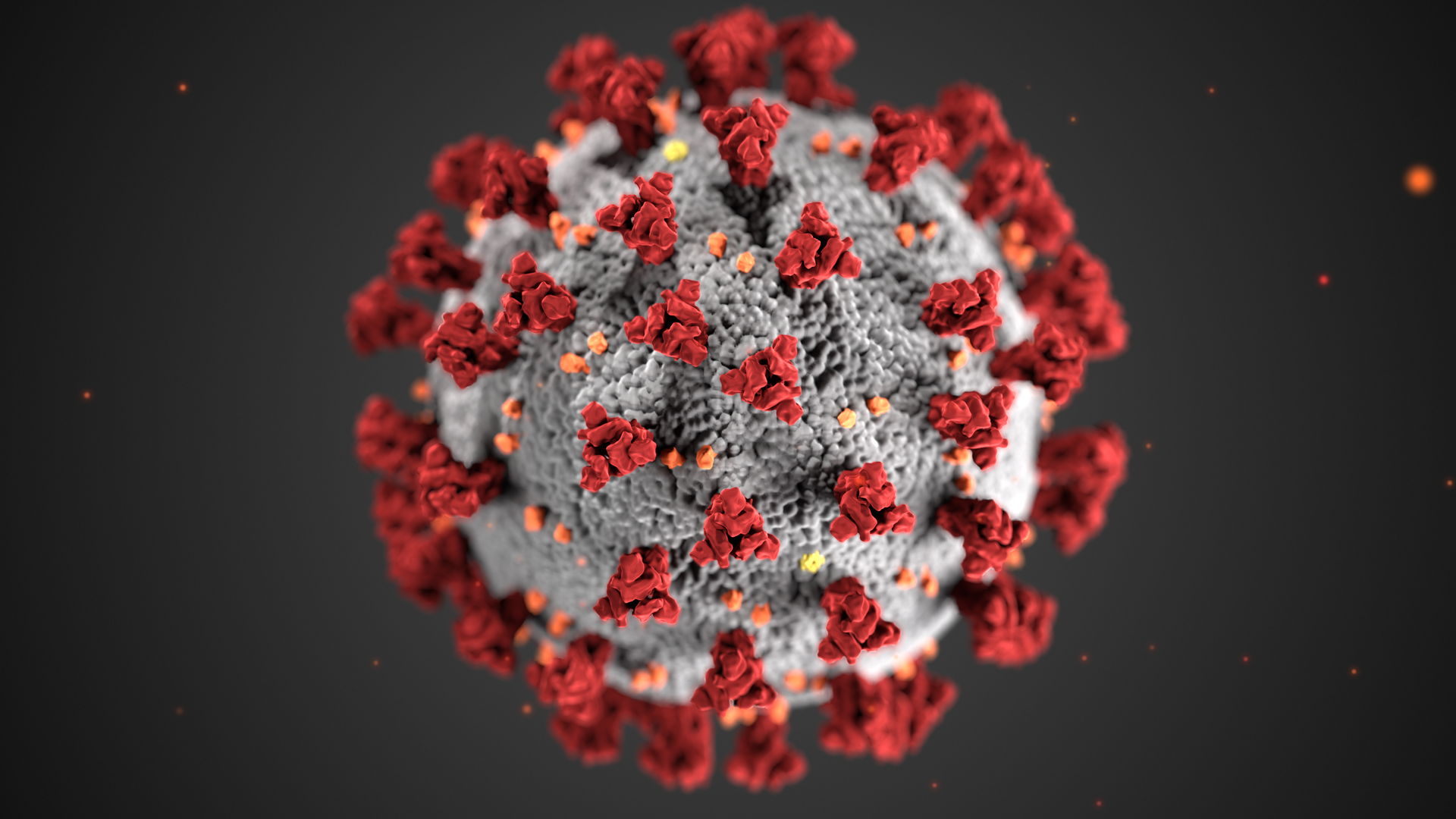 This illustration, created at the Centers for Disease Control and Prevention (CDC), reveals ultrastructural morphology exhibited by coronaviruses. Note the spikes that adorn the outer surface of the virus, which impart the look of a corona surrounding the virion, when viewed electron microscopically. A novel coronavirus, named Severe Acute Respiratory Syndrome coronavirus 2 (SARS-CoV-2), was identified as the cause of an outbreak of respiratory illness first detected in Wuhan, China in 2019. The illness caused by this virus has been named coronavirus disease 2019 (COVID-19). - Sputnik International, 1920, 04.12.2021