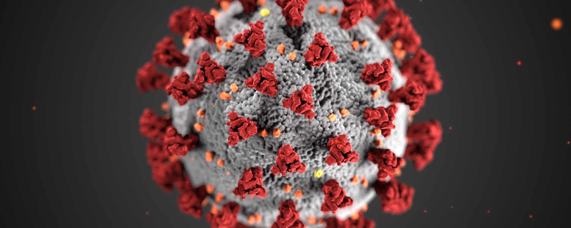 This illustration, created at the Centers for Disease Control and Prevention (CDC), reveals ultrastructural morphology exhibited by coronaviruses. Note the spikes that adorn the outer surface of the virus, which impart the look of a corona surrounding the virion, when viewed electron microscopically. A novel coronavirus, named Severe Acute Respiratory Syndrome coronavirus 2 (SARS-CoV-2), was identified as the cause of an outbreak of respiratory illness first detected in Wuhan, China in 2019. The illness caused by this virus has been named coronavirus disease 2019 (COVID-19). - Sputnik International, 1920, 29.05.2021