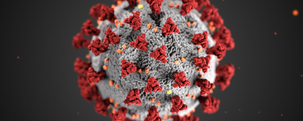 This illustration, created at the Centers for Disease Control and Prevention (CDC), reveals ultrastructural morphology exhibited by coronaviruses. Note the spikes that adorn the outer surface of the virus, which impart the look of a corona surrounding the virion, when viewed electron microscopically. A novel coronavirus, named Severe Acute Respiratory Syndrome coronavirus 2 (SARS-CoV-2), was identified as the cause of an outbreak of respiratory illness first detected in Wuhan, China in 2019. The illness caused by this virus has been named coronavirus disease 2019 (COVID-19). This illustration, created at the Centers for Disease Control and Prevention (CDC), reveals ultrastructural morphology exhibited by coronaviruses. Note the spikes that adorn the outer surface of the virus, which impart the look of a corona surrounding the virion, when viewed electron microscopically. A novel coronavirus, named Severe Acute Respiratory Syndrome coronavirus 2 (SARS-CoV-2), was identified as the cause of an outbreak of respiratory illness first detected in Wuhan, China in 2019. The illness caused by this virus has been named coronavirus disease 2019 (COVID-19). - Sputnik International