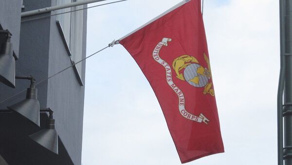 The flag of the United States Marine Corps (USMC) - Sputnik International