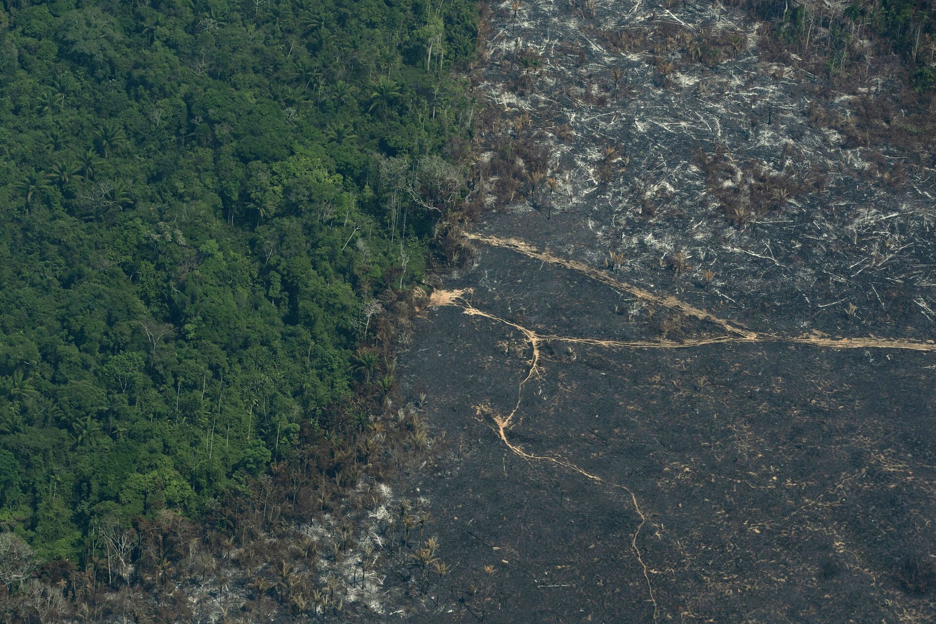 A burned area of Amazon rainforest is seen in the Biological Reserve Serra do Cachimbo, at the border with the Menkragnoti indigenous reserve of the Kayapo indigenous group in Altamira, Para state, Brazil, Wednesday, Aug. 28, 2019.  (AP Photo/Leo Correa) - Sputnik International, 1920, 16.09.2022