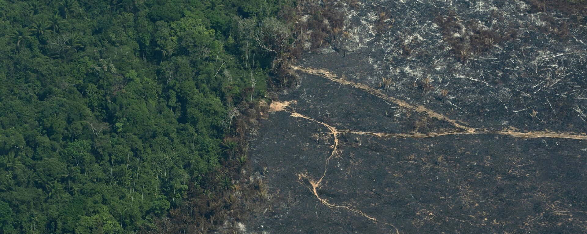 A burned area of Amazon rainforest is seen in the Biological Reserve Serra do Cachimbo, at the border with the Menkragnoti indigenous reserve of the Kayapo indigenous group in Altamira, Para state, Brazil, Wednesday, Aug. 28, 2019.  (AP Photo/Leo Correa) - Sputnik International, 1920, 06.06.2023