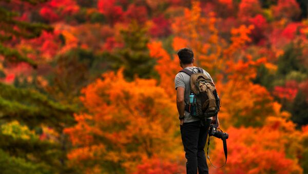 Gorkan Telci, of Southborough, Massachusetts pauses to consider where to aim his camera as the fall foliage on the eastern slope of Lower Wolfjaw Mountain in the Adirondacks leaves him spoilt for choice, Sunday, 27 September 2020. - Sputnik International